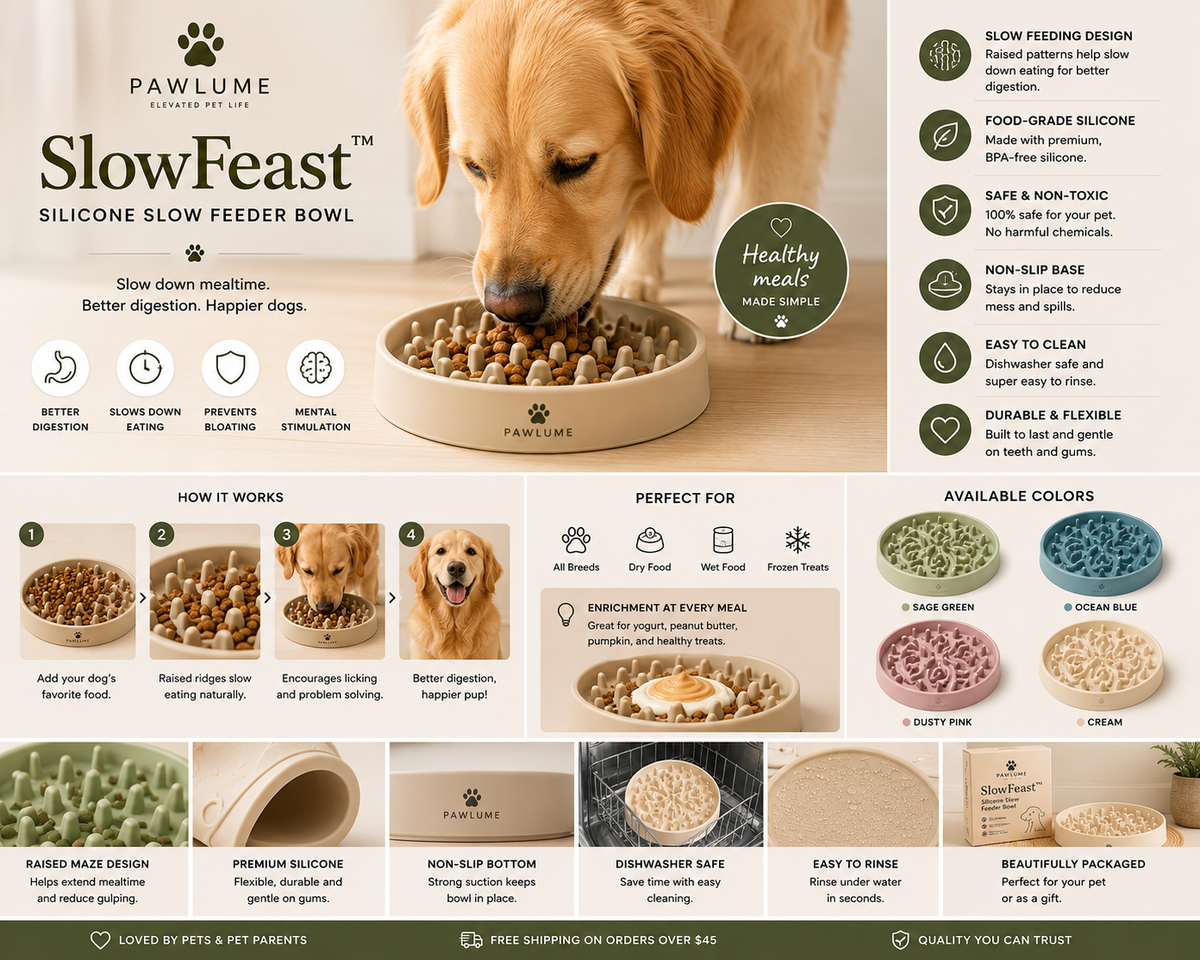 Pawlume™ SlowFeast Silicone Slow Feeder Bowl